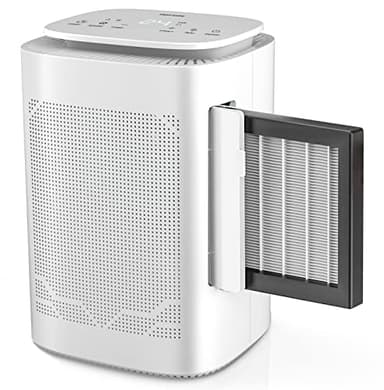 All-in-1 Dehumidifier and Air Purifier Combo with Negative Air Ion,420 sq ft,Air Purifier HEPA H13 Filter